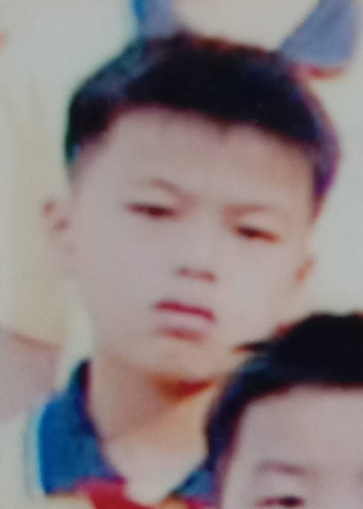 照片未加载出来！